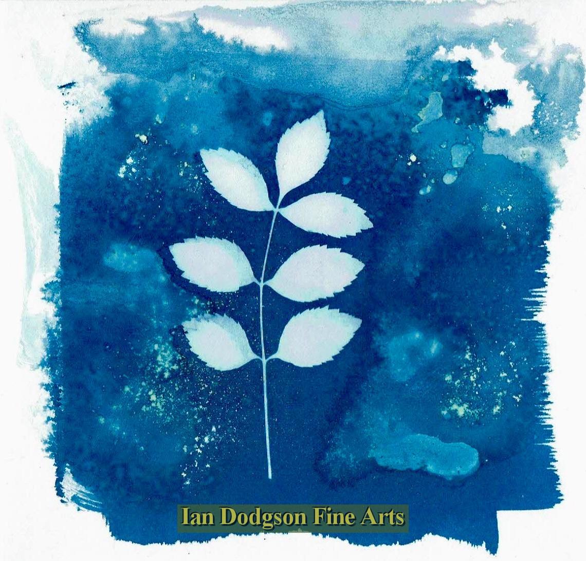 Gill Hughes - Leaf Cyanotype Monoprint (2018)