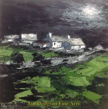 Ty Hir by Wyn Hughes